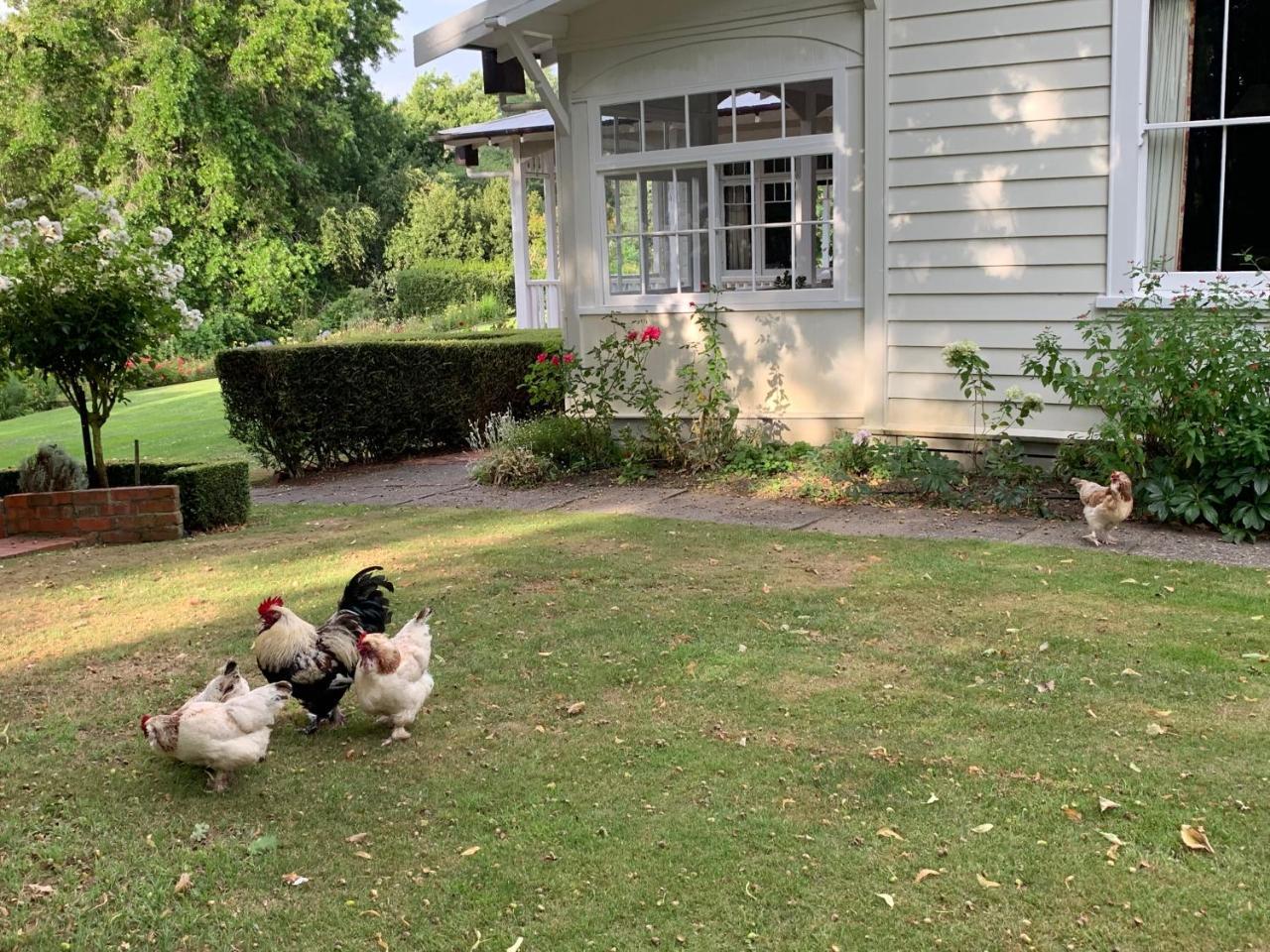 Wallingford Homestead ภายนอก รูปภาพ